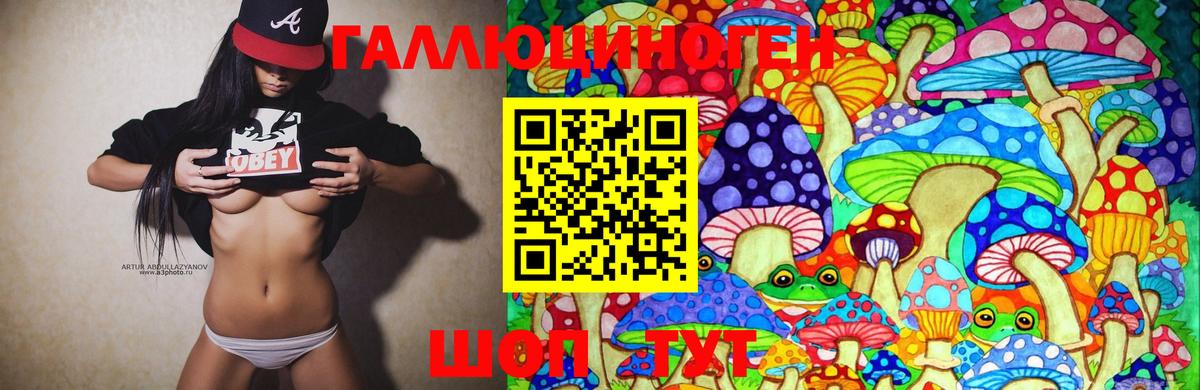 Псилоцибиновые грибы мухоморы  Вход с VPN  купить наркотики цена  Мурино  Галлюциногенные грибы GOLDEN TEACHER 